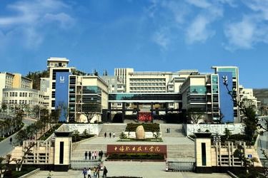 湖北职业技术学院进去要多少分