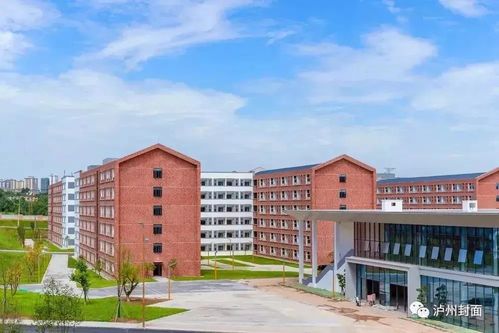 岁末盘点 2021年泸州城市建设新篇章——从公园到学校再到道路的全面升级