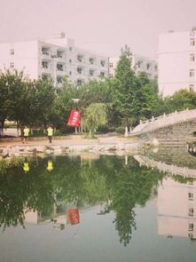 好不浪漫！成都某高校学生用无人机向老师告白