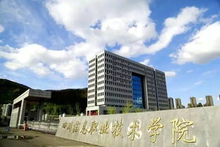 你是人间的四月天——我的川信青春纪念册