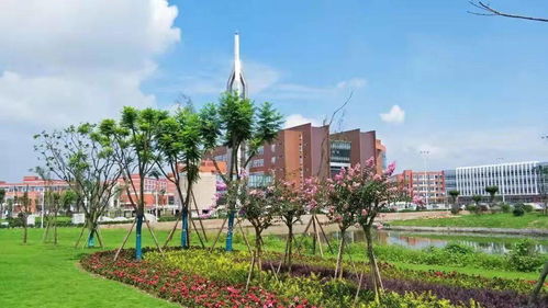 四川省示范性高职院校 乐山职业技术学院与四川职业技术学院解析