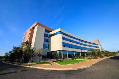 跨越省界的教育选择 玉林学子赴柳州职校的免费求学与多元发展之路