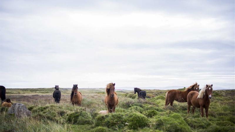 Jannik Sinner hoàn thành Sunshine Double lịch sử tại Miami Open 2026: Vĩ đại không tưởng