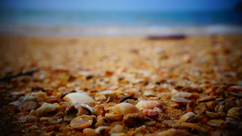 PSG nghiền nát Chelsea 8-2 tổng lượt: Kvaratskhelia tỏa sáng, Barcola ghi dấu ấn