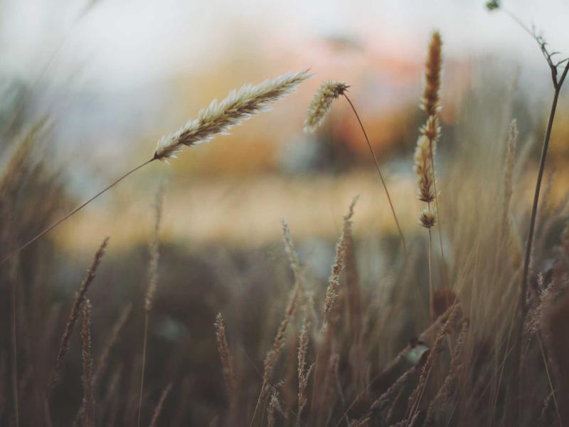 MU kiên quyết bán đứt Rashford (FIFA)— Góc nhìn FIFA esports